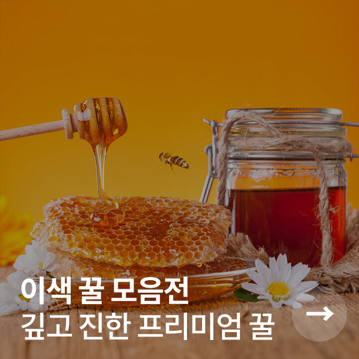 배너 2