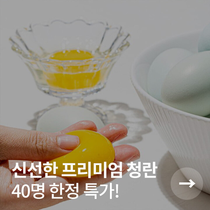 배너 4