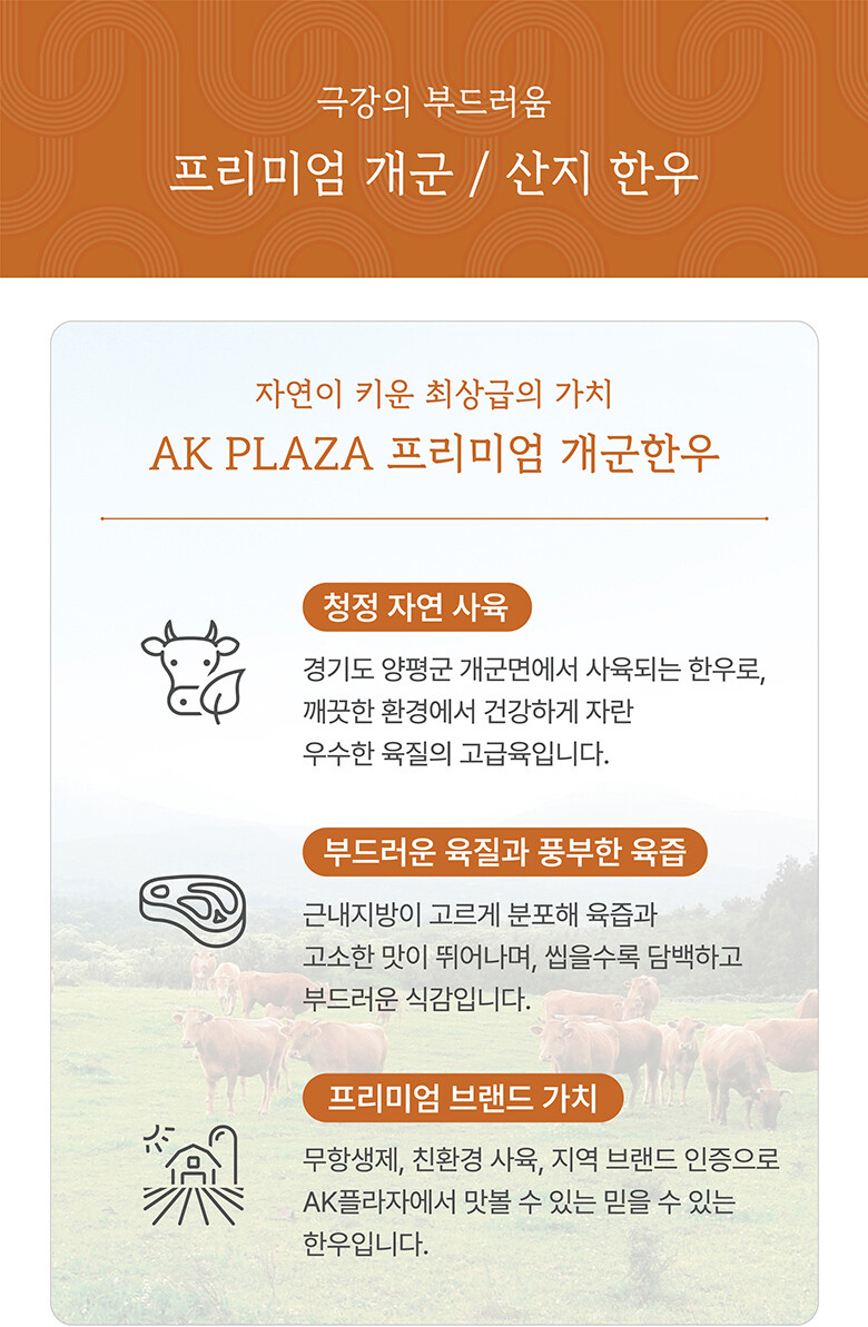 프리미엄 개군 / 산지한우