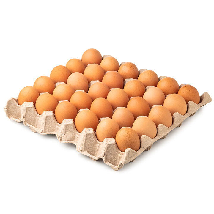 상품 5