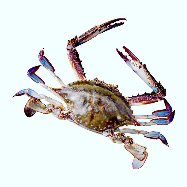 상품 1