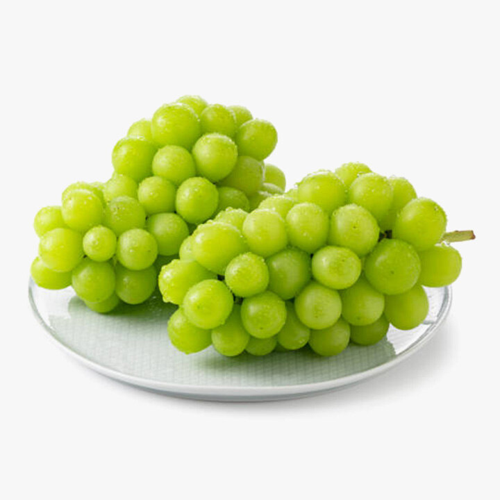 상품 5