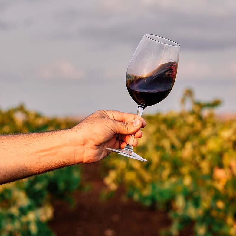 [에노테카] 가을와인 페어