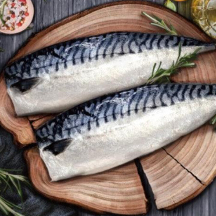 제철 등푸른 생선 제안전