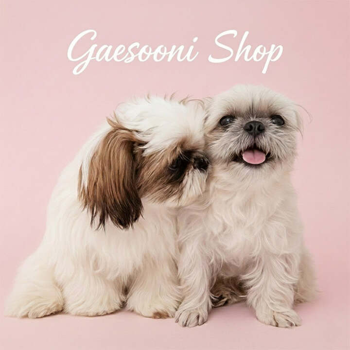 [개순이상점] 매장 이동 프모로션