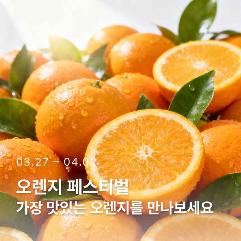 오렌지 페스티벌