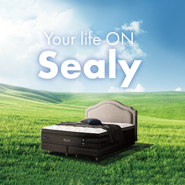 [씰리] 웨딩 페스티벌