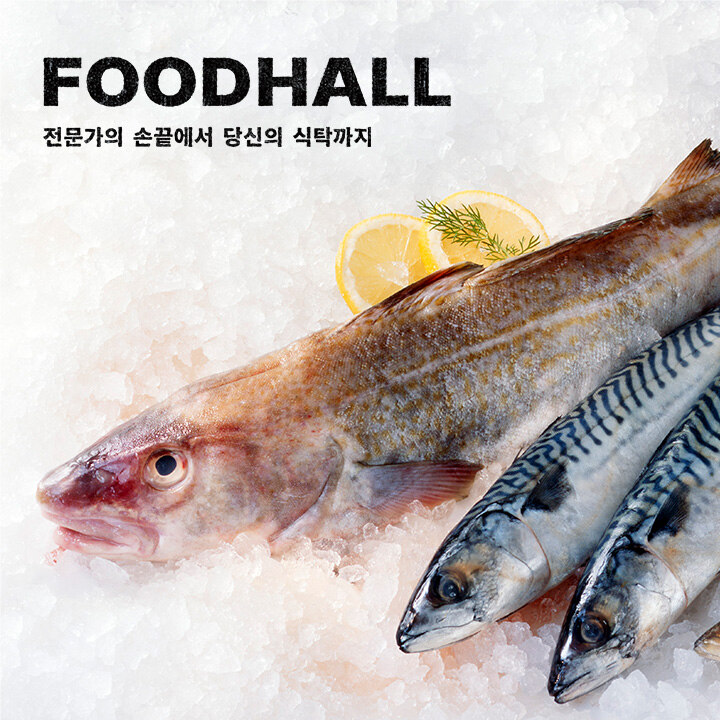 봄 맞이 수산물 기획전