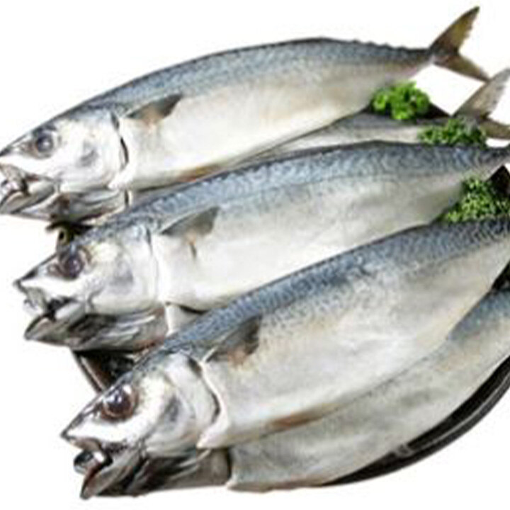 [푸드홀] 수산물 할인