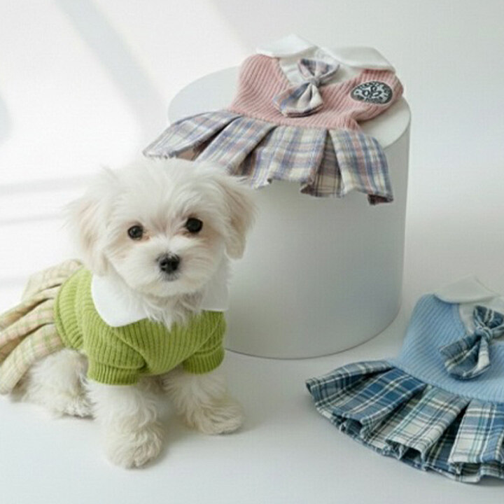 [개순이상점] 수원AK점 특별 프로모션