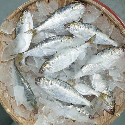상품 3
