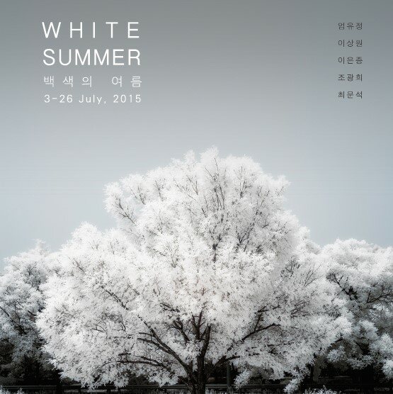 백색의 여름_2015.7.3-7.26 